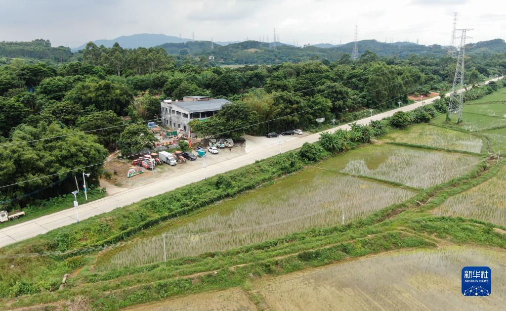 同城游五张牌哪儿去了